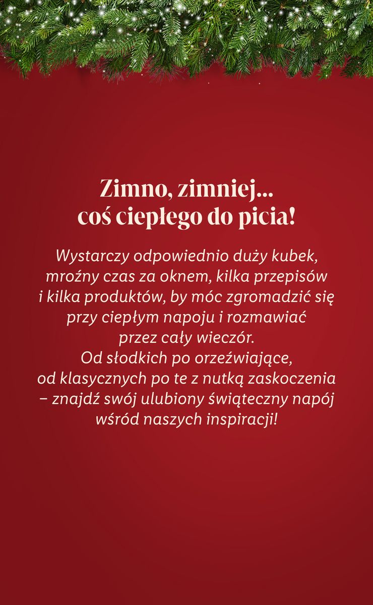 Gazetka Katalog Święta Deluxe