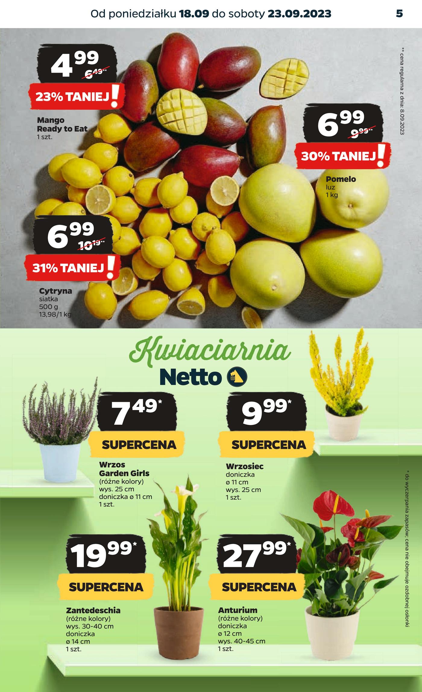 Gazetka Netto Gazetka Spożywcza 38/23A