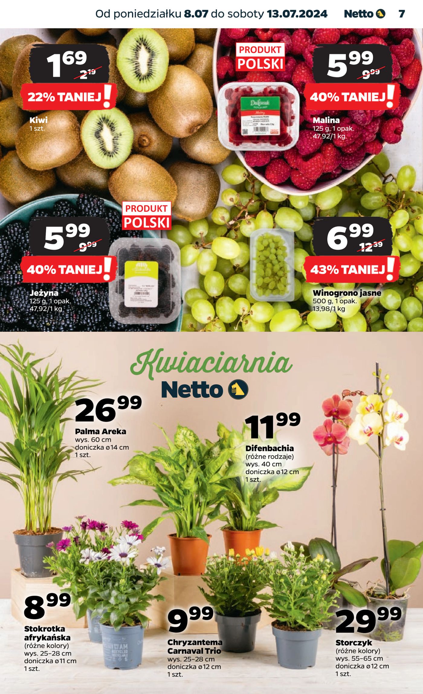 Gazetka Netto Gazetka Spożywcza 28/24A