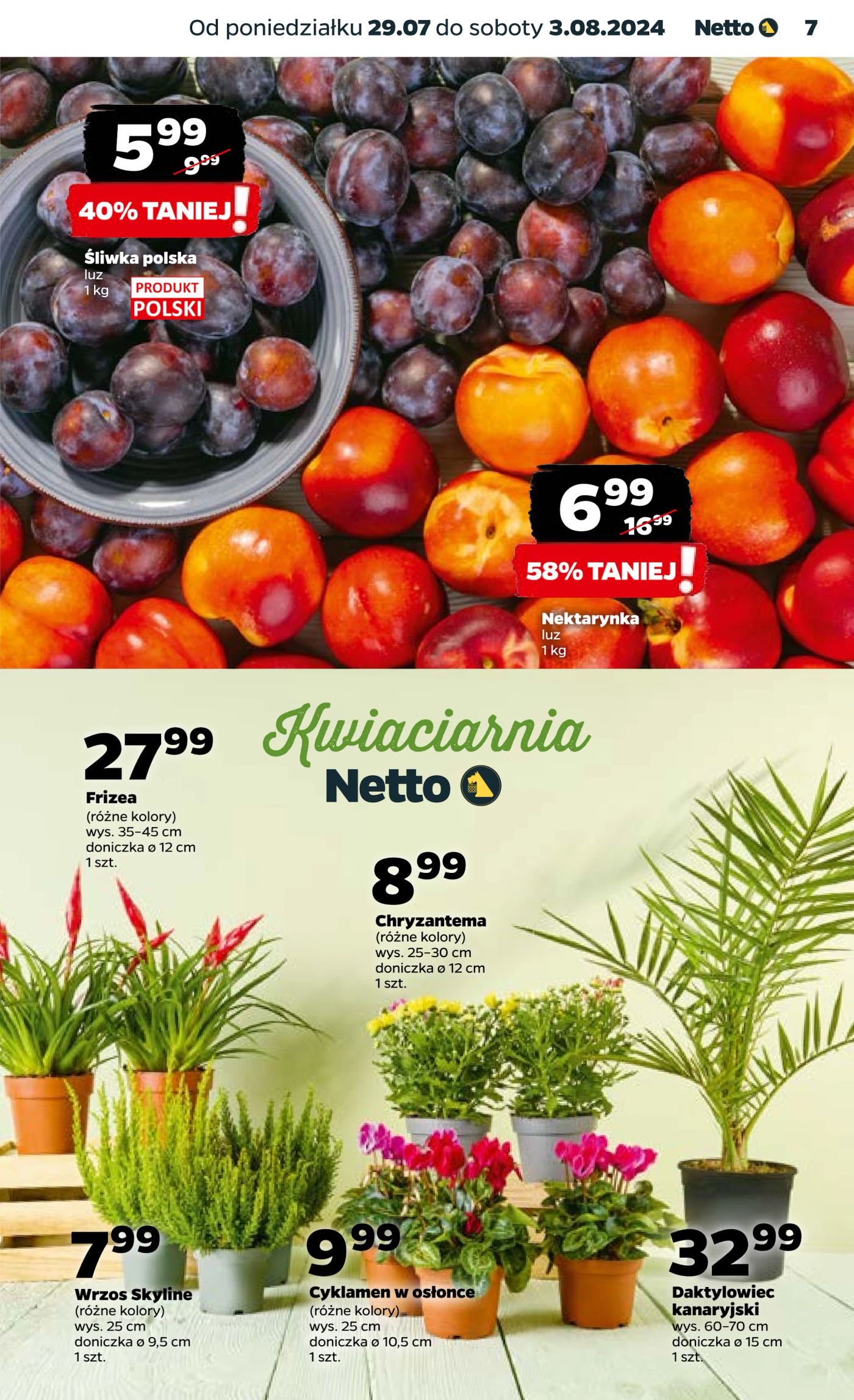 Gazetka Netto Gazetka Spożywcza 31/24A