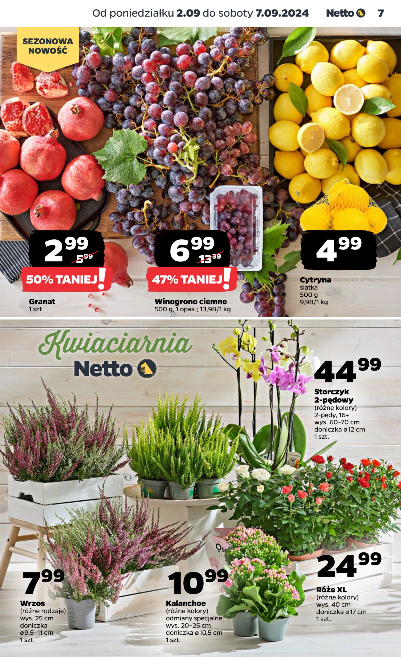 Gazetka Netto Gazetka Food 36/24A