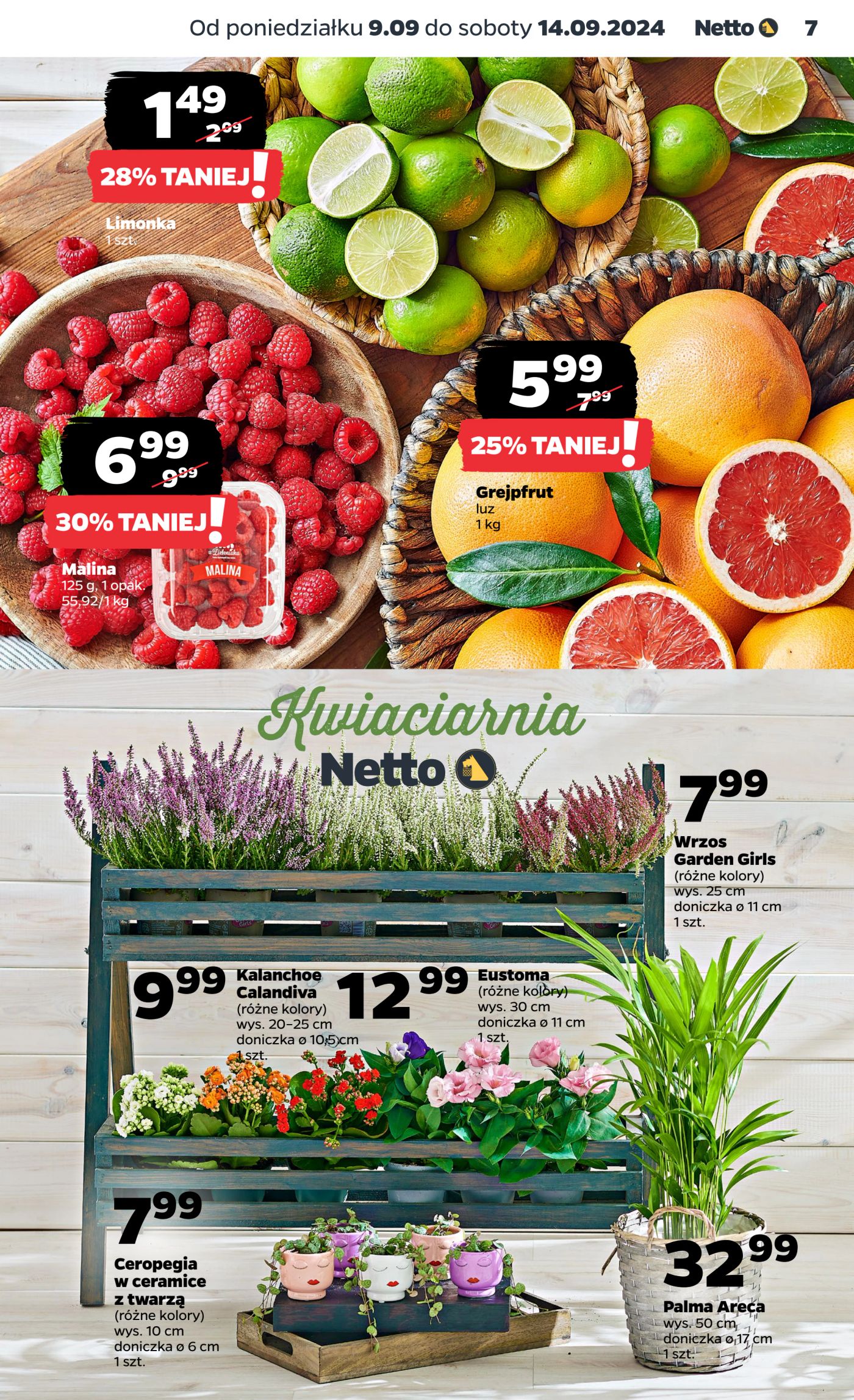 Gazetka Netto Gazetka Food 37/24A