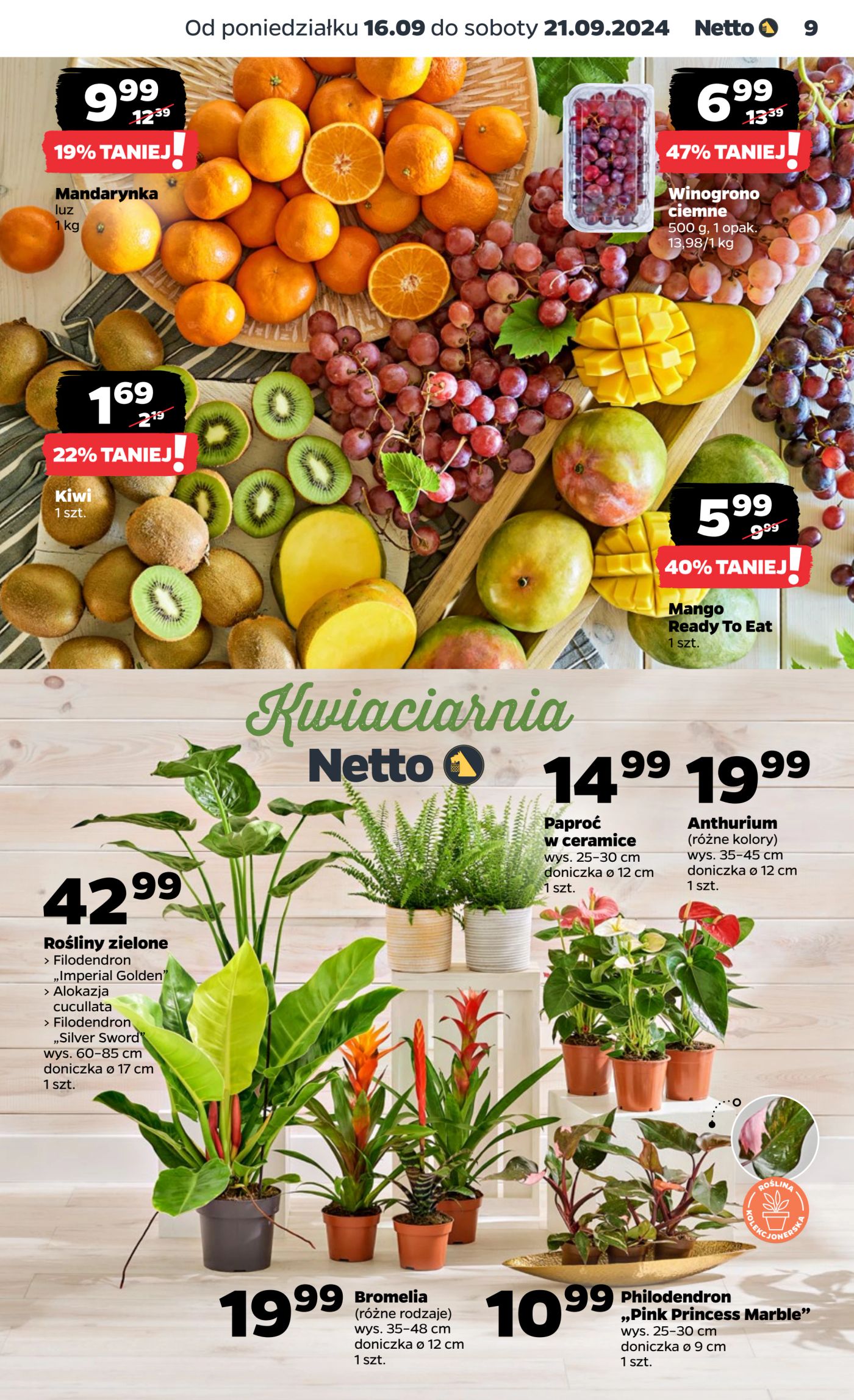 Gazetka Netto Gazetka Food 38/24A